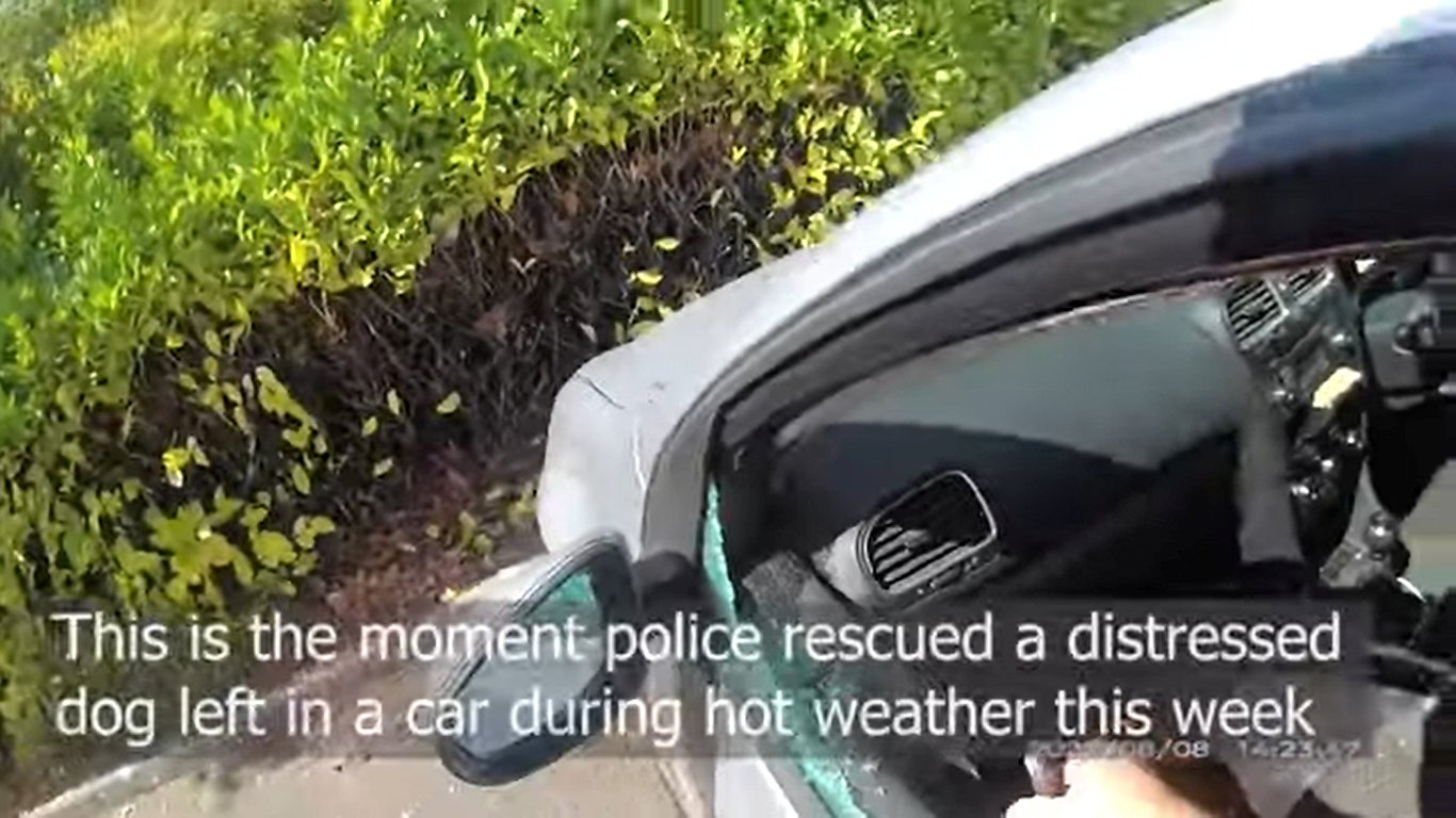 Video shows police smash their way into car to rescue distressed dog