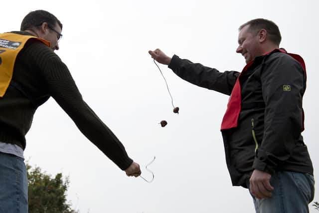 A competitor's conker detaches from its lace as he takes part in a later round of the annual World Conker Championships, in Southwick, central England