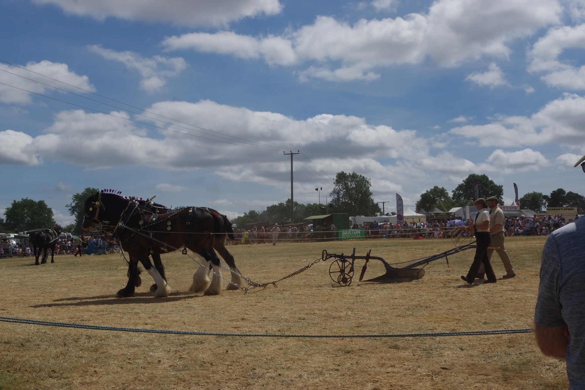 Hollowell Steam and Heavy Horse Show celebrates raising £2million in 40 years