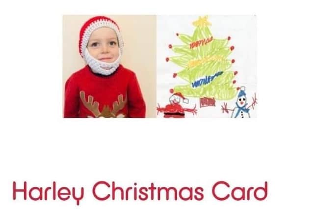Harley with his Christmas card design.