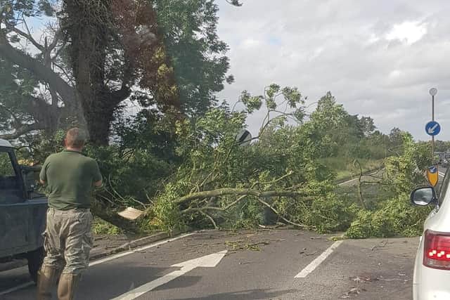 A large branch was blocking the A508 near the junction for Courteenhall. Photo: Tracey White