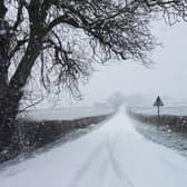 Snow on a country road sent to the Northampton Chronicle & Echo by Corina Ursu