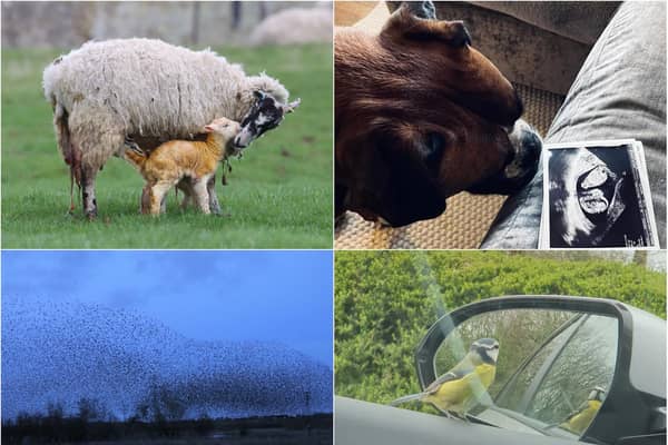 Readers shared their favourite pictures they took in Northamptonshire this week.