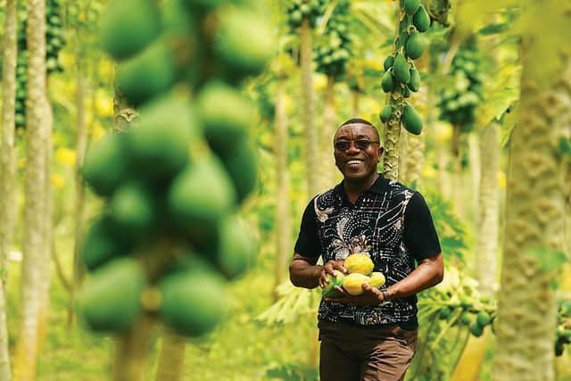 A worker at one of Blue Skies Holdings' farms in Ghana