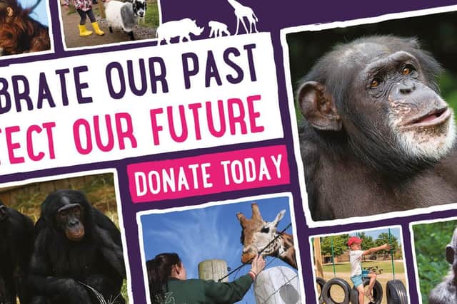 Twycross Zoo is banking on donations to keep going after being told to stay lshut