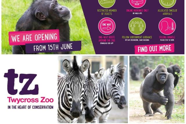 Twycross Zoo is ready to reopen from Monday. Photos: Twycross Zoo