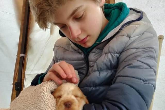 Henry with Fergus, his new therapy puppy.