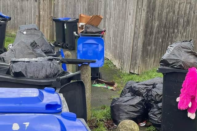 Some of the rubbish on the Southbrook estate.
