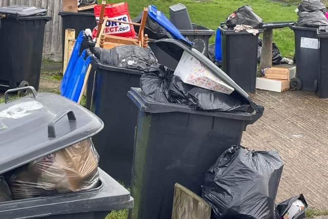 The rubbish has attracted rats.