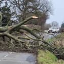 A fallen tree blocking the road near Desborough is just one of the problems being caused by Storm Eunice