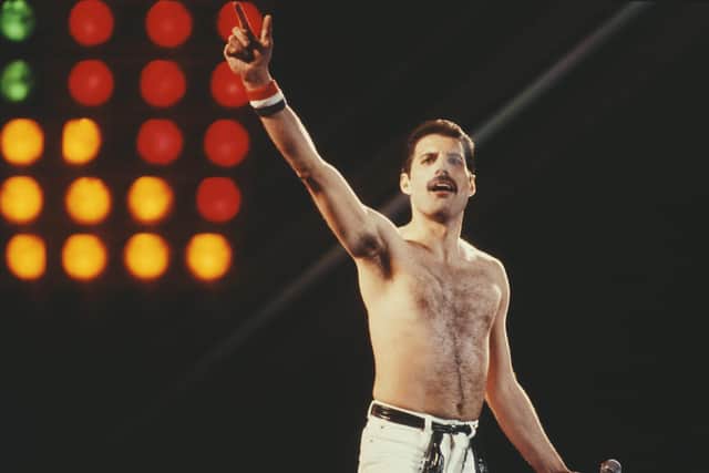 The real Freddie. There will be a Queen tribute at Davfest.
