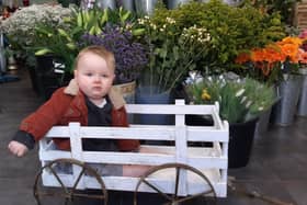 Rory Flear, nine months, at Baskets & Bunches, Sheaf Street.