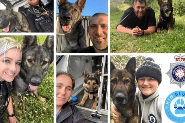 Six Northamptonshire Police handlers are climbing Mount Snowdon later this year to raise cash retired police dogs