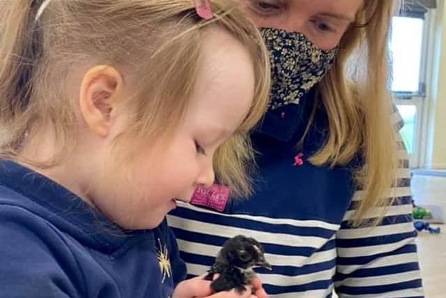 Milly Fyfe visits Yelvertoft Pre-School with some of the animals from her farm.