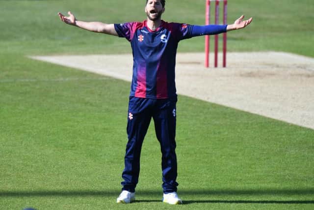 Wayne Parnell celebrates one of his two wickets