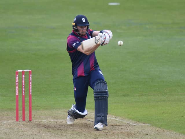 Rob Keogh impressed with the bat but the Steelbacks fell well short against the Foxes