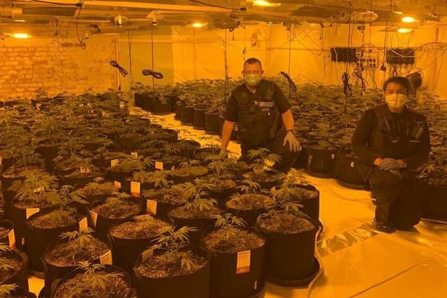 Police discovered a cannabis farm believed be worth £1million in Weedon Bec