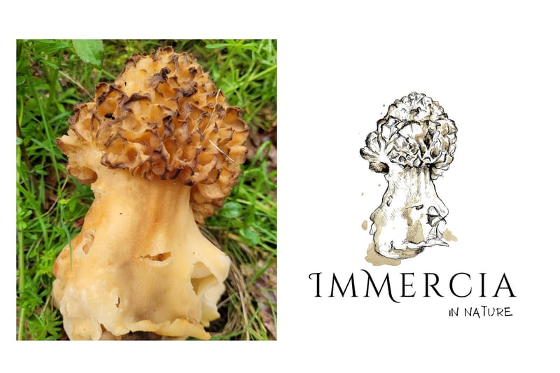 Lizzy and Ellie found a “rare” and “delicious” Morel mushroom on their third forager session together and it has become their logo ever since.