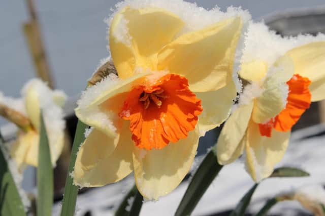 Weather watchers are saying Northamptonshire could see snow in April