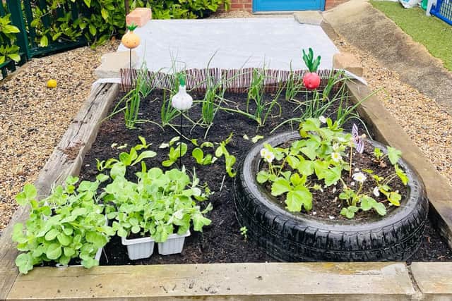 The pupils at Guilsborough Primary School grew herbs, fruit, vegetables and flowers in their Peace Garden.