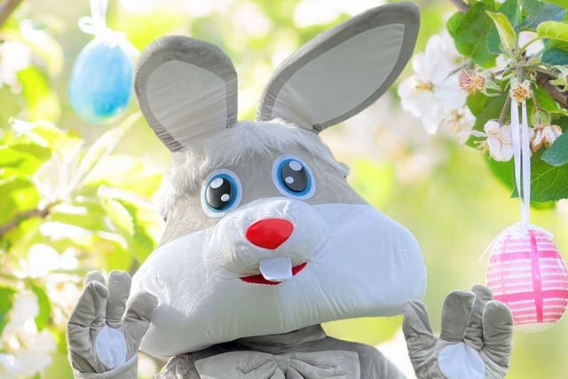 Eddie will be hopping the retail park on Good Friday and Saturday March 30, at 30 minute appearances between 10am and 12.30pm. He will also be handing out prizes, such as a £75 gift card for Primark or Hobbycraft or chocolate eggs. Also at Rushden Lakes, there will be a handmade and vintage fair, also on Friday and Saturday. Clothing, homeware, gift, accessories and more will be on offer.
