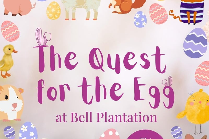 Running from March 29 - April 14, the garden centre has an epic Easter egg trail. Kids can use clues to find animals who are hiding eggs, before finding the ultimate golden egg at the end of the trail and redeeming their sweet treat. The clue sheets can be found at the main entrance. The trail is designed for children aged three to 11.