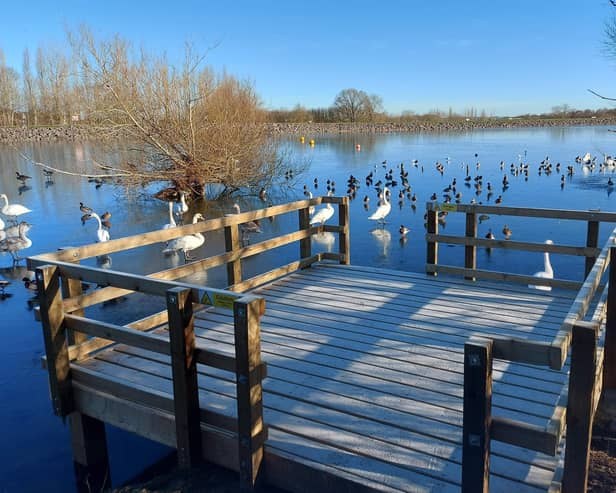 Daventry Country Park's new swim platform pictured in January.