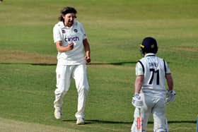 Jack White celebrates claiming the wicket of Alex Davies