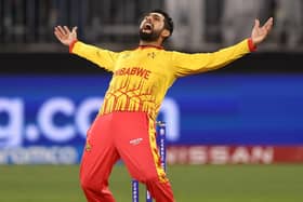 Zimbabwe skipper Sikandar Raza has signed for the Steelbacks for the 2024 Vitality Blast campaign (Picture: Paul Kane/Getty Images)