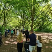 Join this year's wellbeing walk for maternal mental health at Delapre Abbey