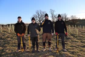 Ryan Lange pictured planting trees in Preston, near Daventry, between Thursday, January 11, and Monday, January 15, along with his teammates Joe, Dylan, and Jack.