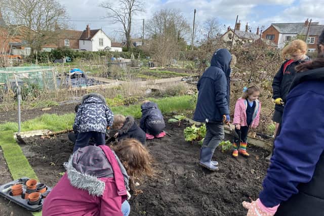 Barby Primary School’s Gardening Club working on the allotments.