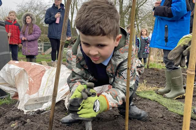 One of Barby Primary School’s Gardening Club's pupils preparing and digging the ground to plant the seedlings.