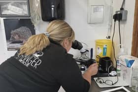 The microscope is just one purchase that has helped Lindsey to provide the care needed for her hedgehog rescue