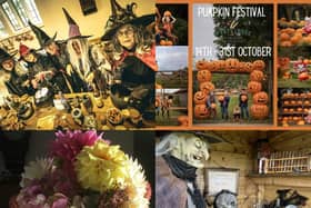 There is plenty to do in the county this spooky season...