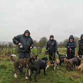 Professional dog walkers in Daventry have started a petition to revere the council's PSPO which bans anyone from walking more than four dogs at a time