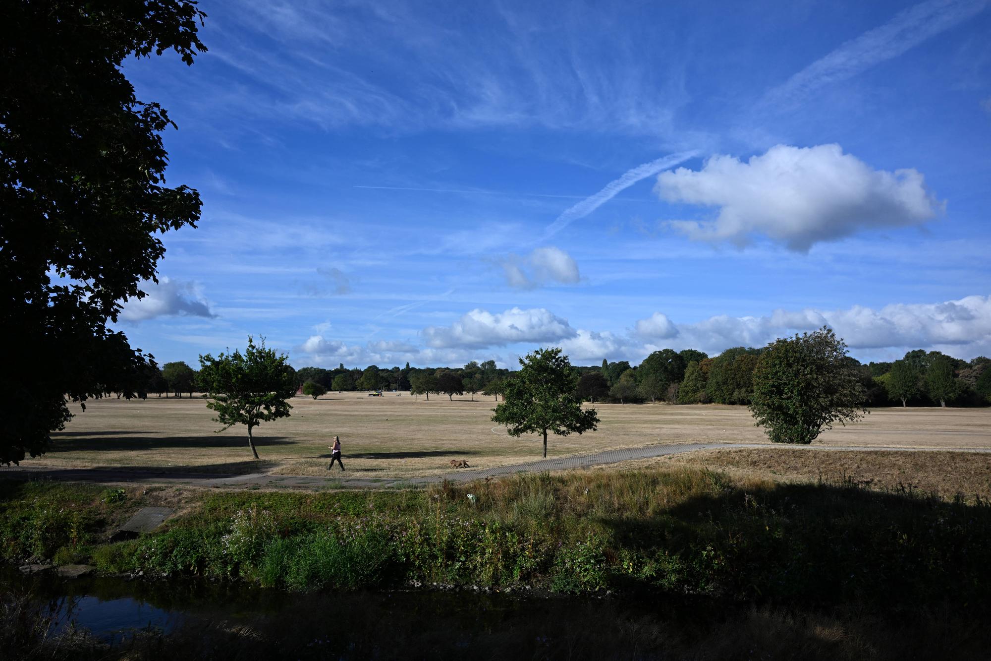 Drought officially declared in Northamptonshire after driest July in 190 ...