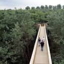 The Tree Top Walkway is a quarter-mile route that rises to 20 metres above the forest floor, and at its height offers a view above the trees. It opened in 2005 before closing in 2018. It has now been announced that it will not reopen.