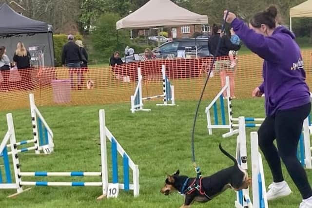 Ellie Cunningham and her dog, Max, at Daventry Mayors’ 'Bark in the Park' charity dog show.
