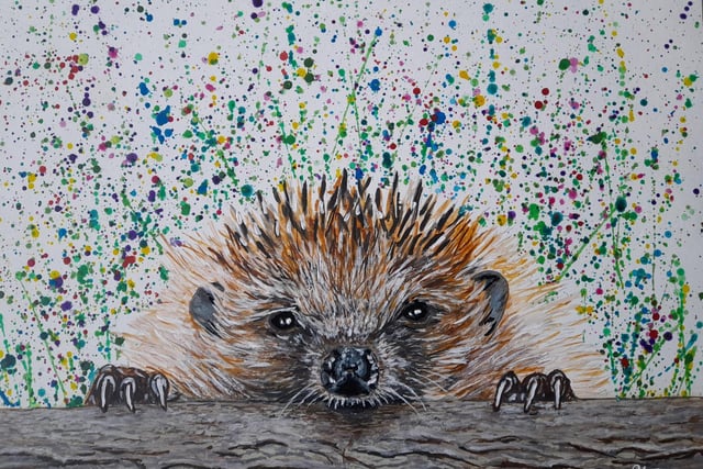 Adorable hedgehog creation by Steve.
