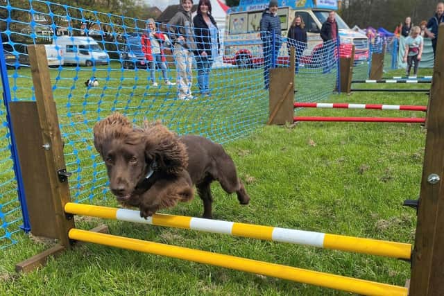 Visitors pictured at Bark in the Park charity dog show 2023.