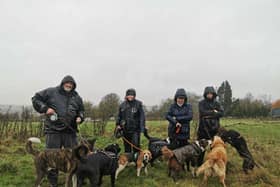 Molly (left middle) says she is 'over the moon' after WNC has invited professional dog walker to discuss their concerns regarding a new banning order
