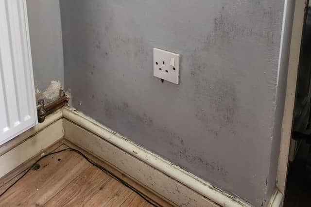 The water leak led to the discovery of black mould and dampness on the walls, plaster and concrete falling off the walls in the kitchen, “one wall soaking wet, a water line in the living room,” and rotten woodwork and other broken fixtures within Tim's house.