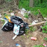The fly-tip found in a "quiet country lane" in Northamptonshire. Photo: West Northamptonshire Council.