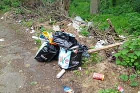 The fly-tip found in a "quiet country lane" in Northamptonshire. Photo: West Northamptonshire Council.