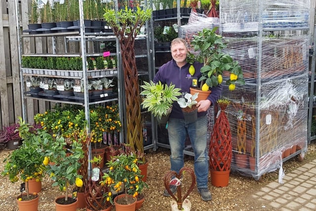 This Northants 4.7 star garden centre is an independent business that prides itself in growing a huge majority of its own plant stock. “Great plants, garden needs, must haves etc. and everything beautifully organised. Helpful friendly staff. The best plant centre I have been to”, a visitor commented.