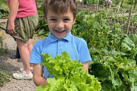 Noah, one of the Barby Primary School’s Gardening Club's pupils, holding his lettuce on the allotment.