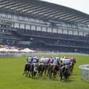 And they're off for the greatest Flat race meeting of the year. Royal Ascot features 35 races over five glorious days. Check out our guide to 12 of the best horses set to run at the meeting.