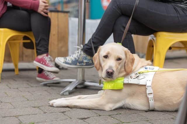 Members of the Guide Dogs Daventry Fundraising Group 