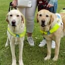 Guide Dog owners from Daventry Group, Rachel Nafzger with Jax and Harriet Smith with Sparky